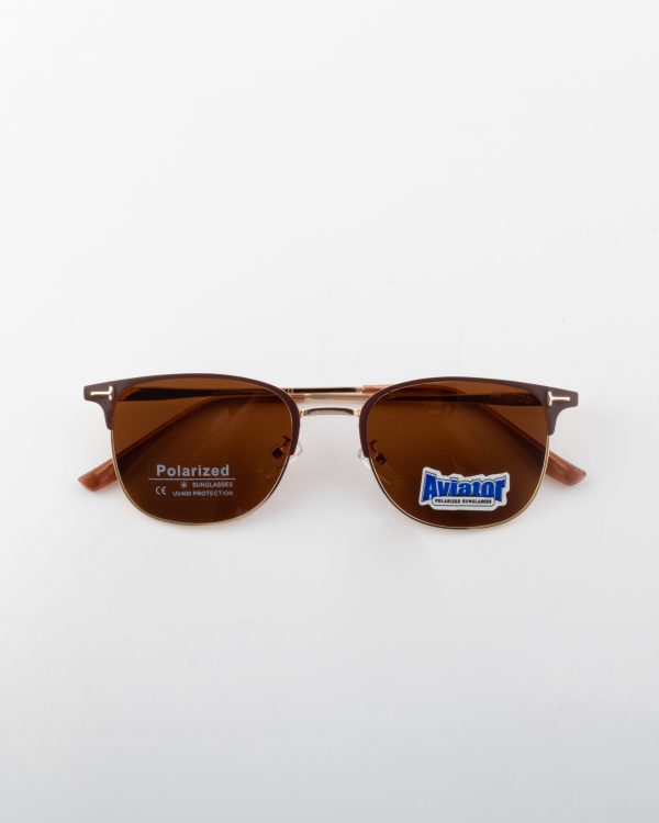 عینک آفتابی اویتور _Aviator - Image 2