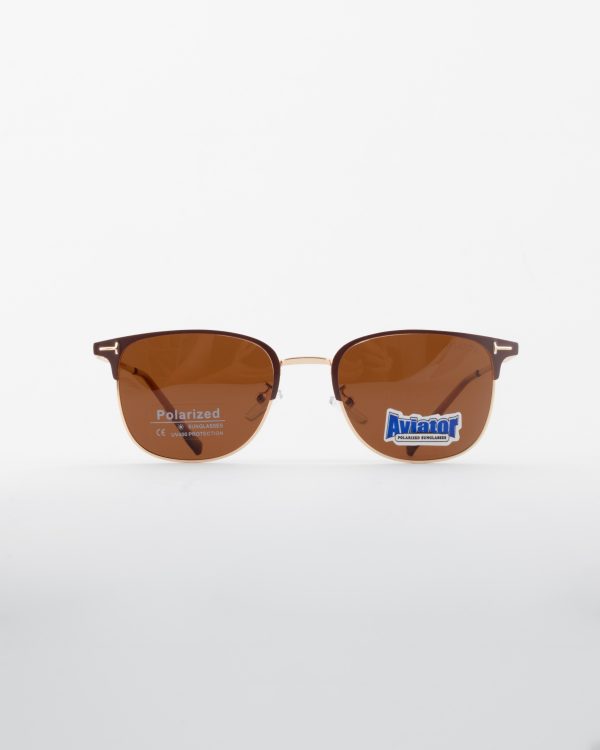 عینک آفتابی اویتور _Aviator - Image 3