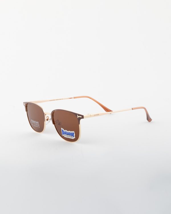 عینک آفتابی اویتور _Aviator - Image 6