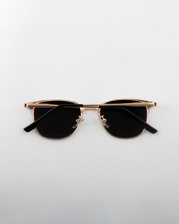 عینک آفتابی اویتور _Aviator - Image 5